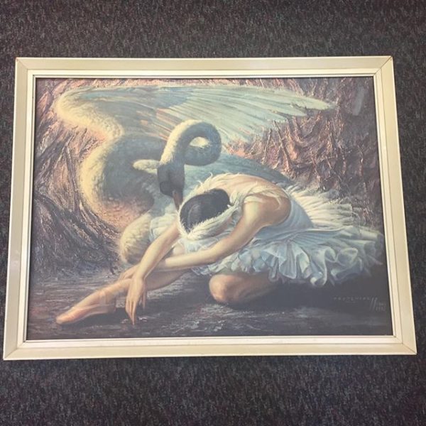 18299455_1046858022113869_3876165756521545728_n